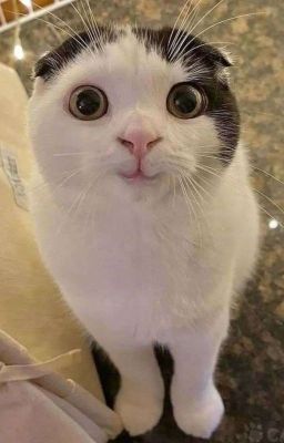 [JsolNicky] Từng Chút Từng Chít