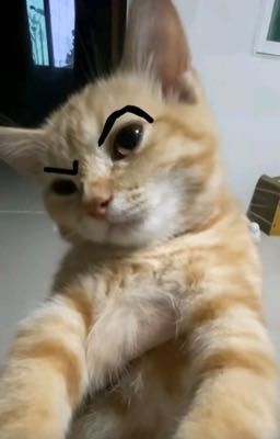 [ JustinKeaton ] Chảnh