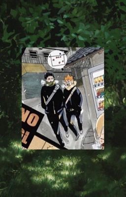 KageHina | Oneshot Collection