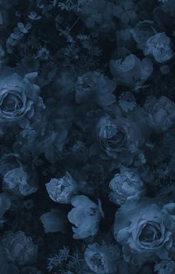 [kaiisa] Còn thương