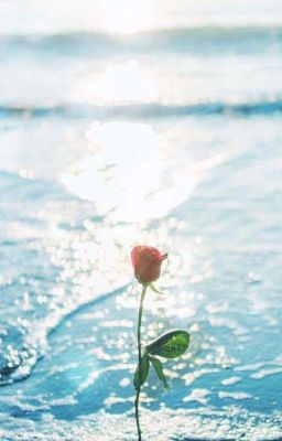 | Kaiisaitoshi | | Sếch | Đỏ Ư? Không Yoichi, Đó Là Hoa Hồng Xanh