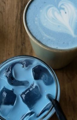 kainess/chín điều cần nhớ khi nuôi thú cưng