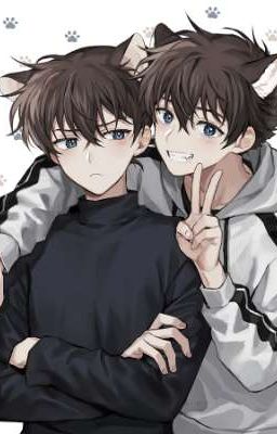 [KAISHIN /TRANSLATE ] 1 VÀI ONESHORT CỦA KAISHIN TRÊN AO3