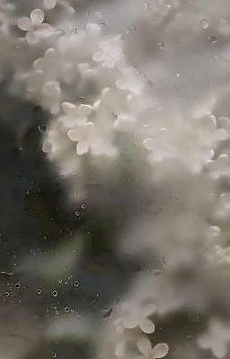 [ KaiStu ] Truất Phích