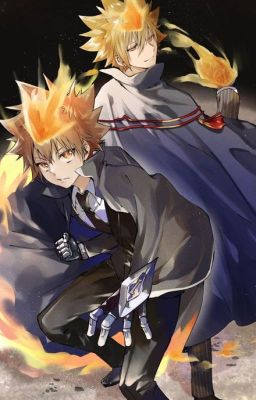 Katekyo Hitman Reborn Đồng Nhân 2