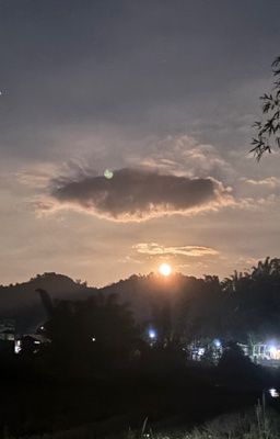 Kế hoạch nhân sinh 