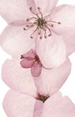 keonhyeon; blue lips