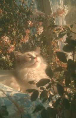 keonhyeon - đã lỡ yêu anh nhiều