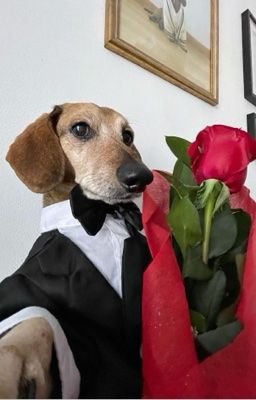 [Keonhyeon] Ê khó nha