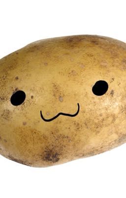 keonhyeon | potato