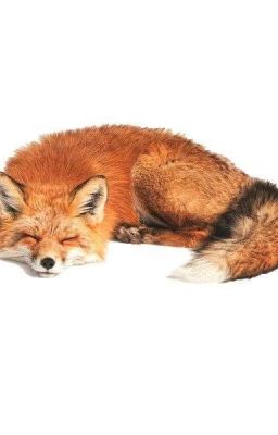 keonhyeon : shipper.