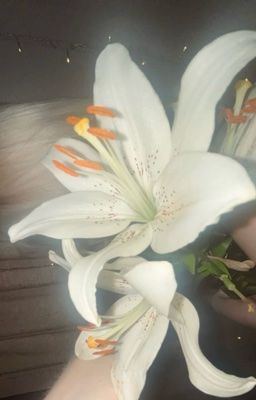 Keonhyeon ⋮ ❝ Trà dâu khói trắng ❞