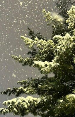 KeonHyeon | Tương phản hoà quyện