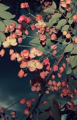 【 Khí vũ hiên dương 】 Ái có điều mưu - saki_seven - H