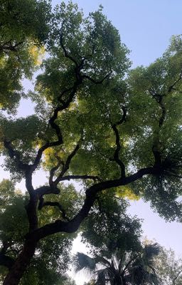 Khóc có người dỗ