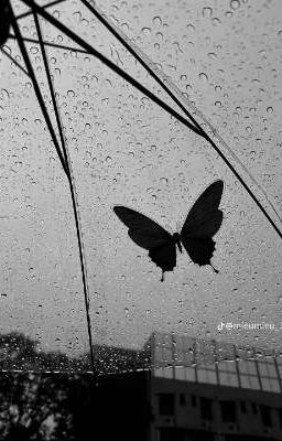 khóc trong vô vọng 