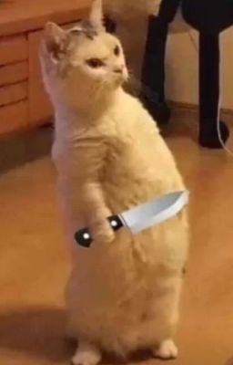 Không phải ăn chay