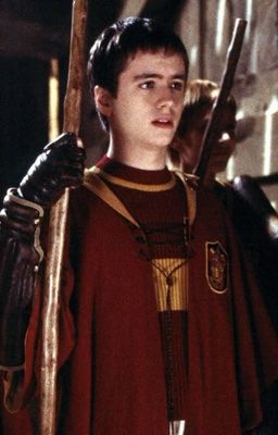 Kí sự Quidditch của quản lí mù tịt về thể thao