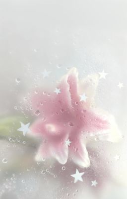 kiên đức | đức