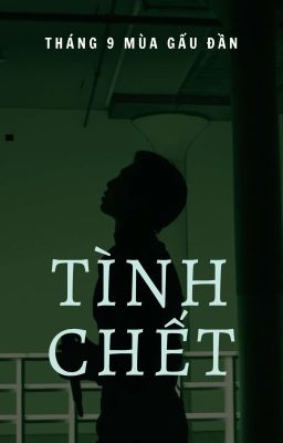 [ KIM NAMJOON - FICTIONAL GIRL] TÌNH CHẾT