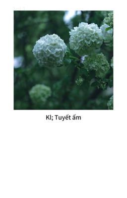 Kl; Tuyết ấm