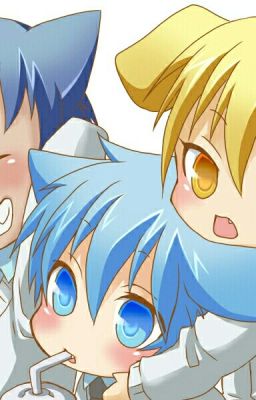 [ Knb ] Doujinshi và hình ảnh về Kuroko no basket.