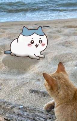 kskj |  phía xa vời, ta có nhau.