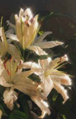 [KuniChigi] Lá thư