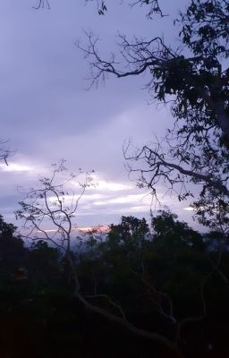 Ký Ức Không Tha Thứ