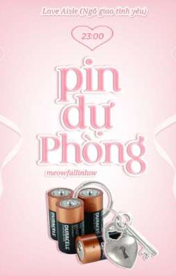 [ LA 23:00 ] pin dự phòng