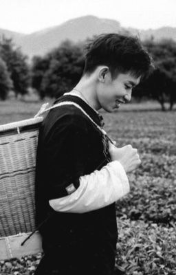 Lặng Yên Dưới Vực Sâu 