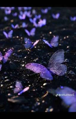 Lạnh lẽo trong phòng tối 