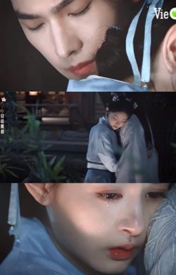 [Lập Hoàn Fanfic]: Bạch nguyệt quang 