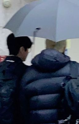 lấp lánh ánh dương của đôi mình.