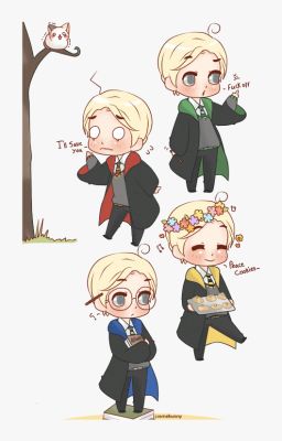 Lập tổ hậu cần ở Hogwarts -  Hoa trong hỗn loạn