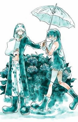 LawBin ; oneshot collection