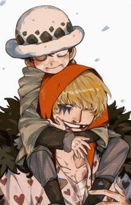 lawcora - hướng đi