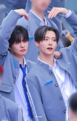 Leowon - Fluffy & Sweet