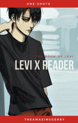 Levi X Reader Oneshots