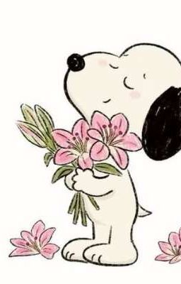 lịch sử độ em 😧