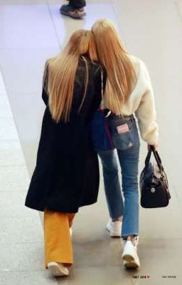 [LICHAENG]