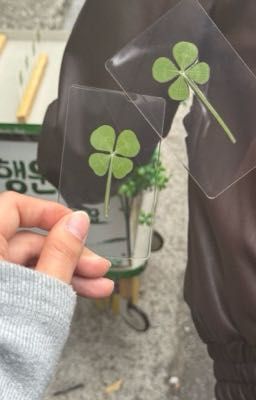 liệu có còn là Haruaki