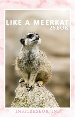Like a meercat | 2seok [ONE SHOT] ✅