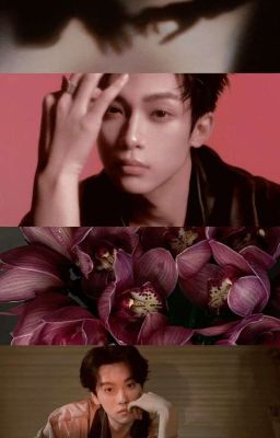 [ Lôi Bằng ] Chú 