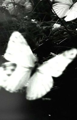 Lồng Kính - CAPRHY