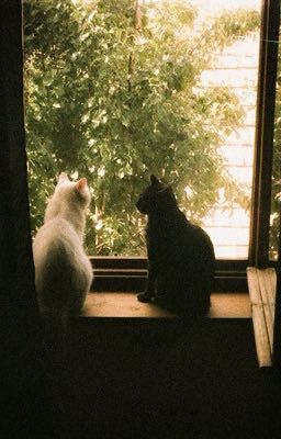 [louyul] for u, i would.