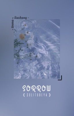 【lzmq】SORROW