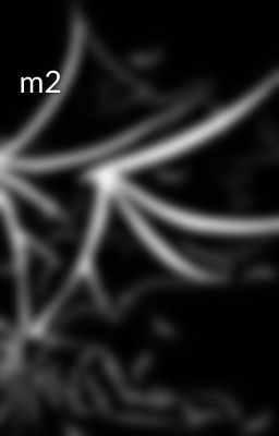 m2