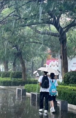 mặc kệ lời trách móc anh vẫn chọn em