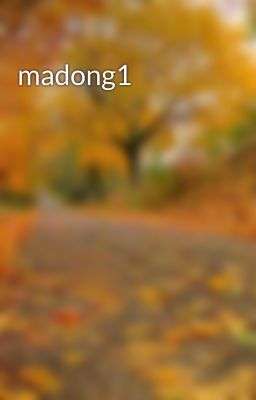 madong1